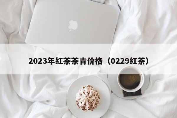 2023年红茶茶青价格（0229红茶）