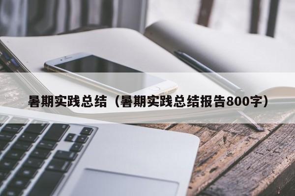 暑期实践总结（暑期实践总结报告800字）