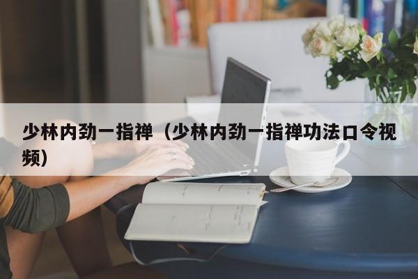 少林内劲一指禅（少林内劲一指禅功法口令视频）