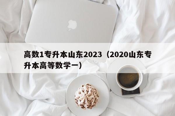 高数1专升本山东2023（2020山东专升本高等数学一）