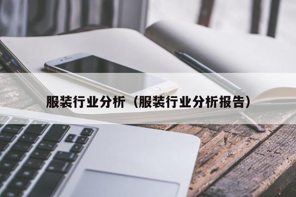 服装行业分析（服装行业分析报告）