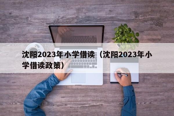 沈阳2023年小学借读（沈阳2023年小学借读政策）