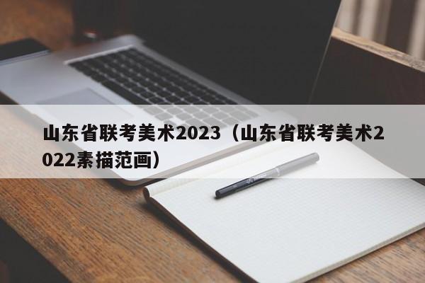 山东省联考美术2023（山东省联考美术2022素描范画）