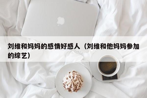 刘维和妈妈的感情好感人（刘维和他妈妈参加的综艺）