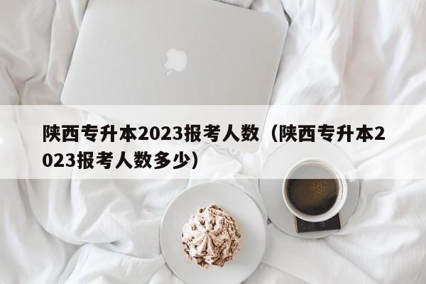 陕西专升本2023报考人数（陕西专升本2023报考人数多少）