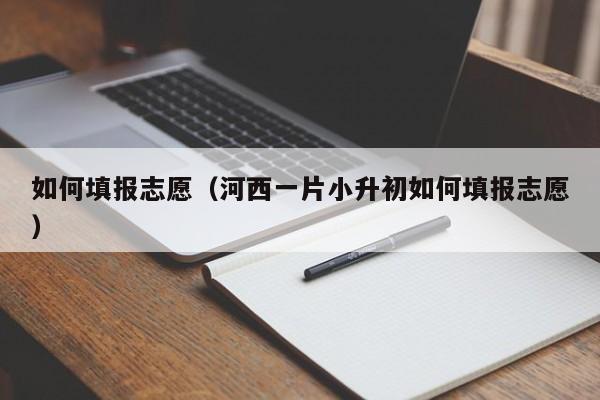 如何填报志愿（河西一片小升初如何填报志愿）