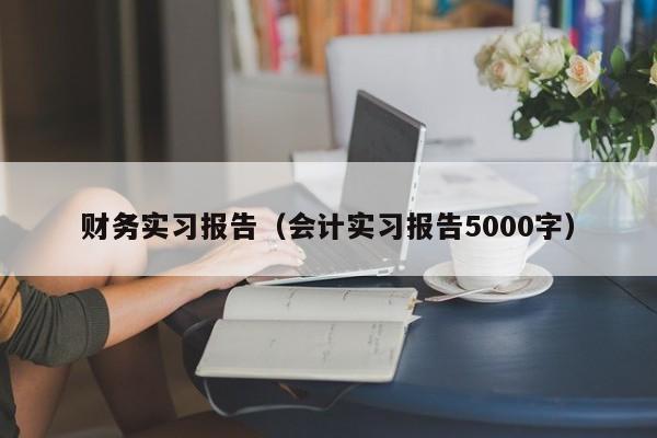 财务实习报告（会计实习报告5000字）